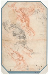 Ribera - attribuito - inv 6703 S
