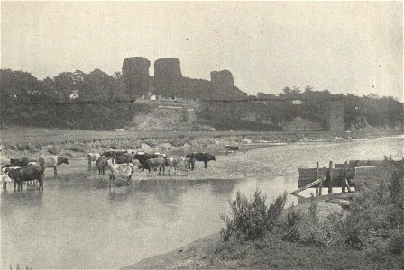 Rhuddlan Castle (4806621)