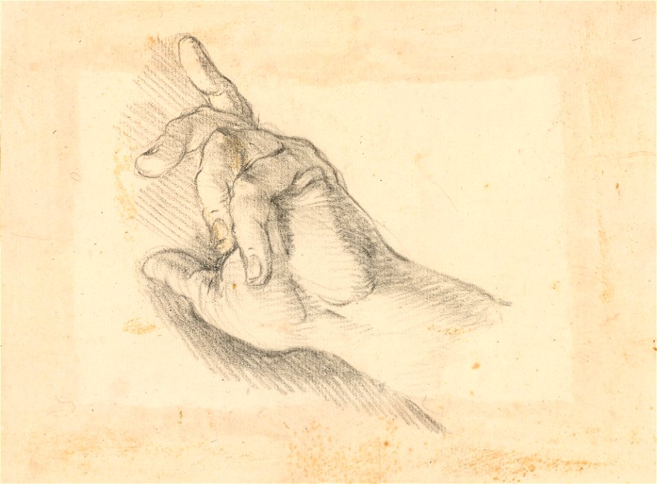 Ricci - A study of a hand c. 1700 - c. 1734, RCIN 907108