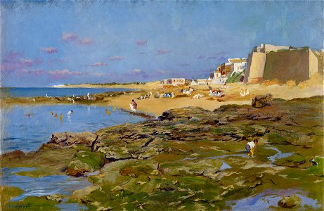 Ricardo Verdugo Landi Looking for Shells on the Beach