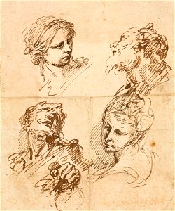 Ricci - Four head studies c. 1700 - c. 1710, RCIN 907114