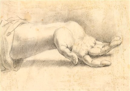 Ricci - A hand c. 1700 - c. 1734, RCIN 907106