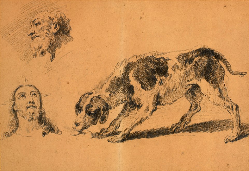 Ricci - Studies for the Last Supper c. 1700 - c. 1734, RCIN 907199