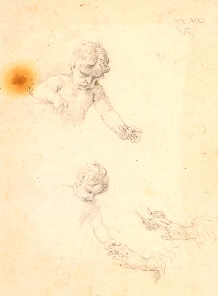 Ricci - Study for the Christ Child c. 1700 - c. 1730, RCIN 906991