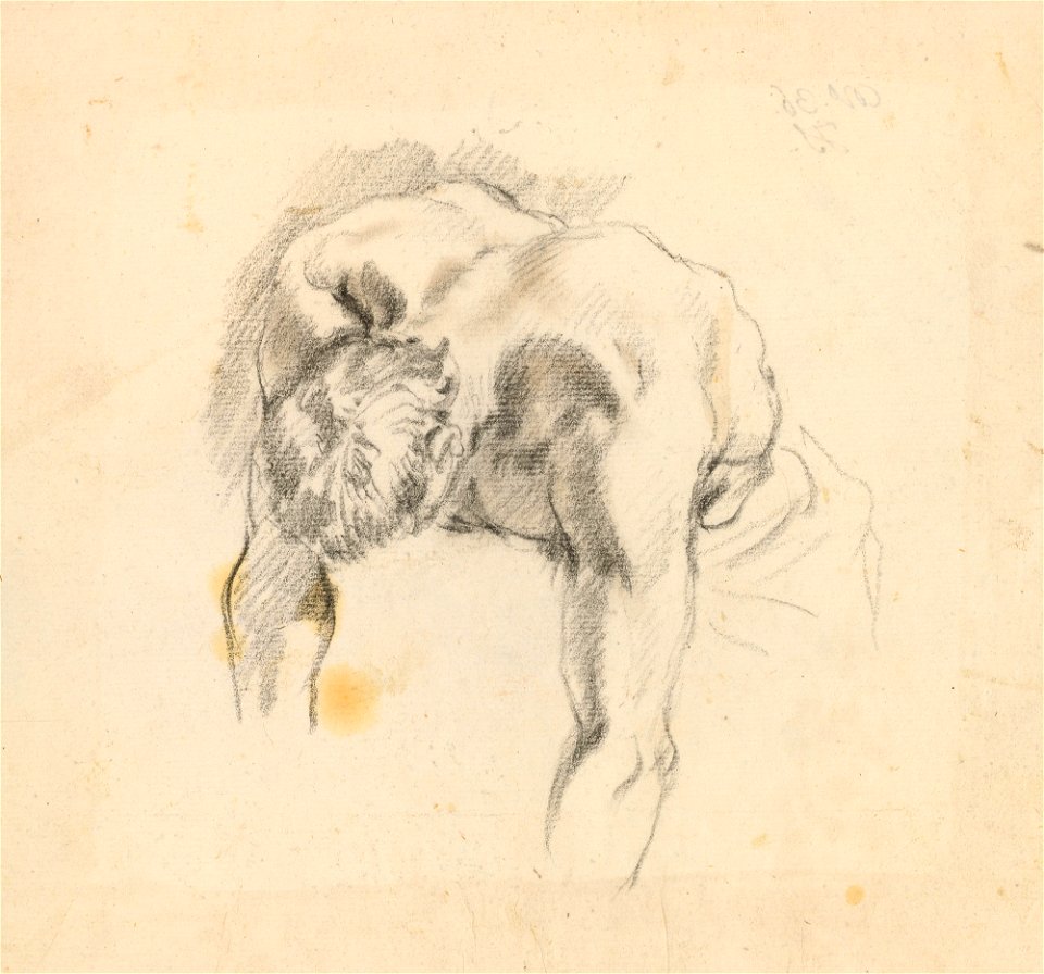 Ricci - A study for a male figure c. 1724, RCIN 907079