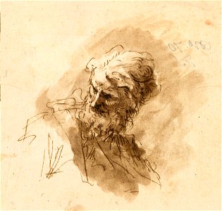 Ricci - An old man's head c. 1695 - c. 1733, RCIN 906999