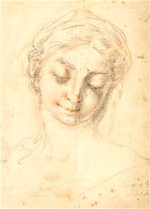 Ricci - A female head c. 1700 - c. 1734, RCIN 907187