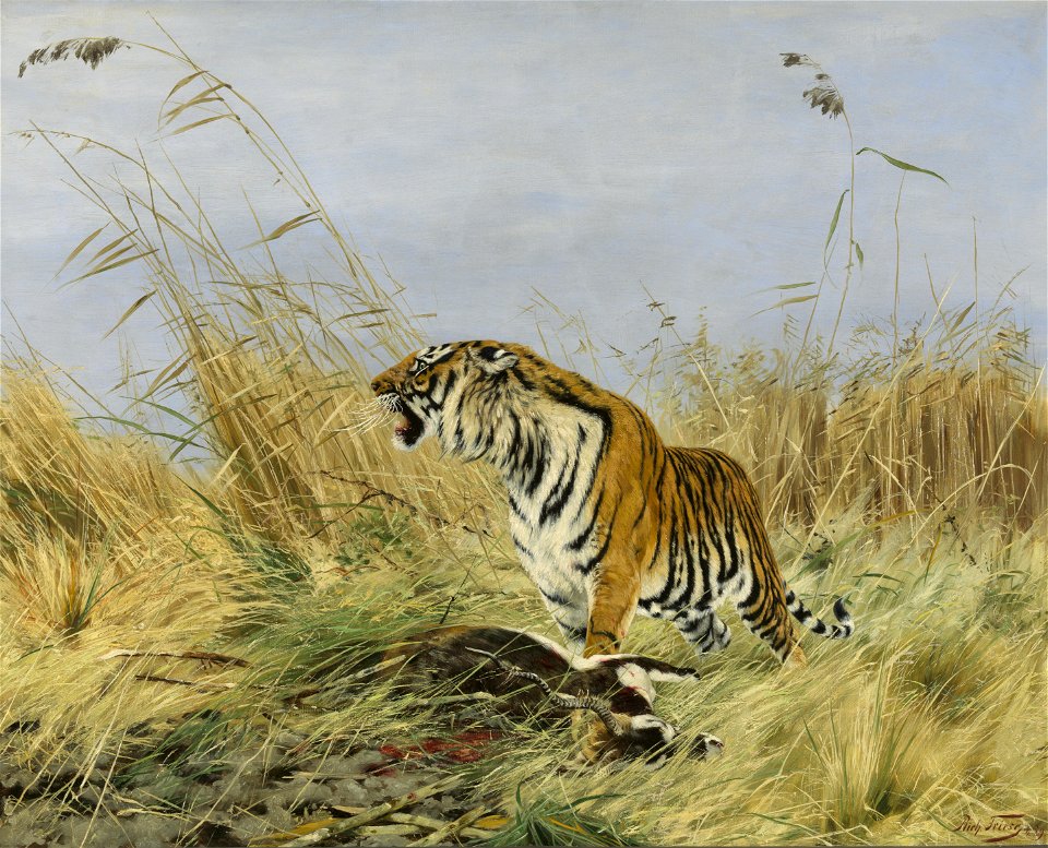 Richard Friese - Koningstijger met gedode nijlgau-antilope - 0456 - Rijksmuseum Twenthe