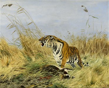 Richard Friese - Koningstijger met gedode nijlgau-antilope - 0456 - Rijksmuseum Twenthe