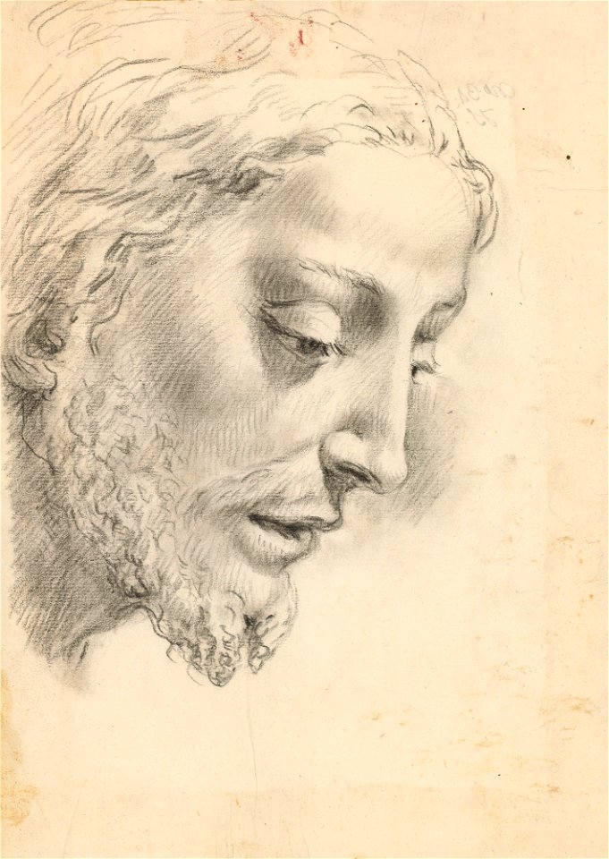 Ricci - A study for the head of Christ c. 1724, RCIN 907084