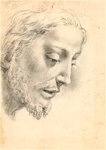 Ricci - A study for the head of Christ c. 1724, RCIN 907084