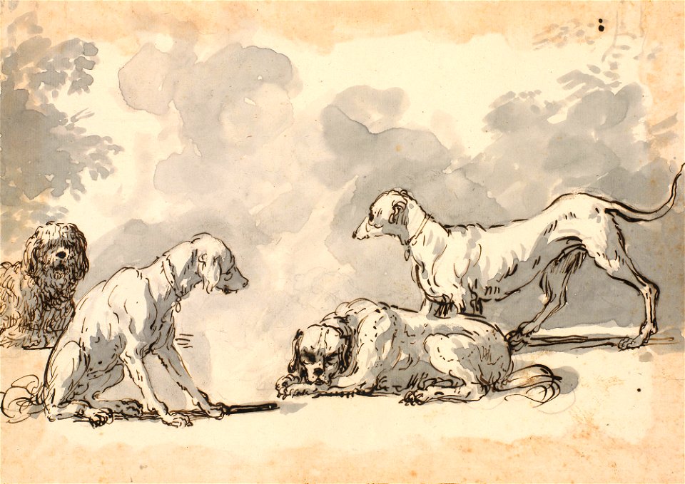 Ricci - Studies of dogs c. 1730 - c. 1734, RCIN 907176