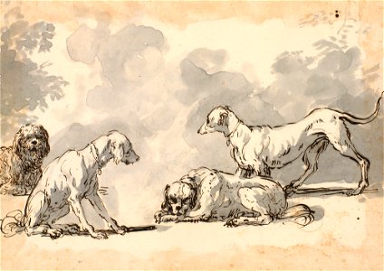 Ricci - Studies of dogs c. 1730 - c. 1734, RCIN 907176