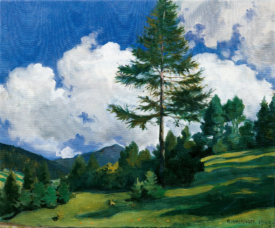 Richard Harlfinger - Motiv bei Toblach - 1895 - Österreichische Galerie Belvedere