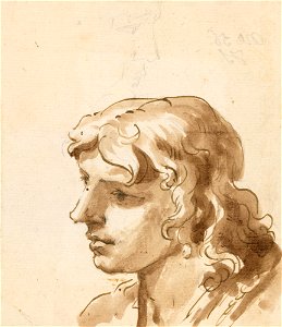 Ricci - RCIN 907037
