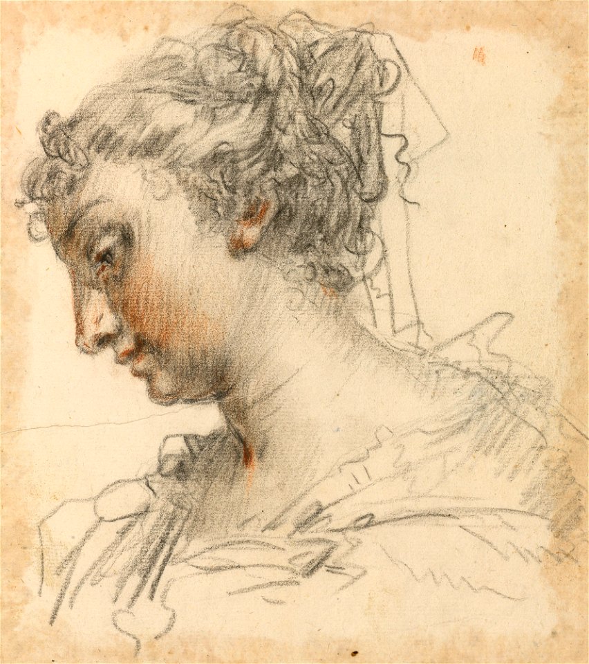 Ricci - Head of a woman c. 1700 - c. 1734, RCIN 907186