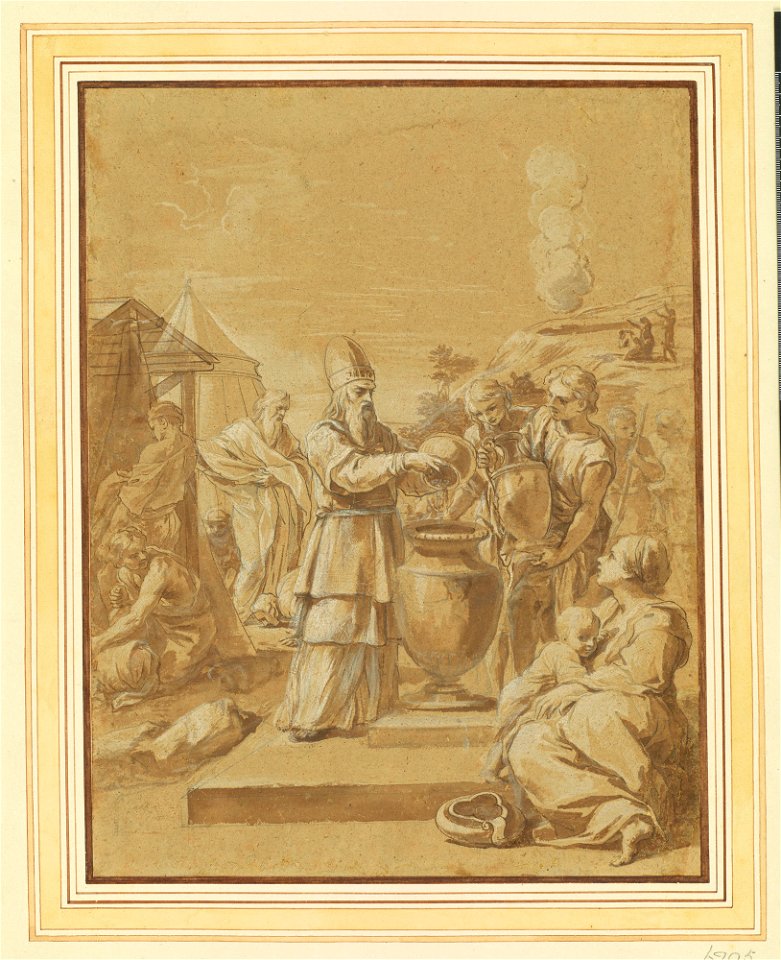 Ricci - Study for the head of a sheep c. 1719, RCIN 906995