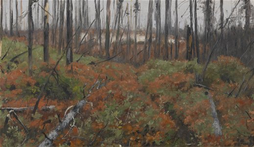 Richard Friese - Vroege herfst in Canada - 0362 - Rijksmuseum Twenthe
