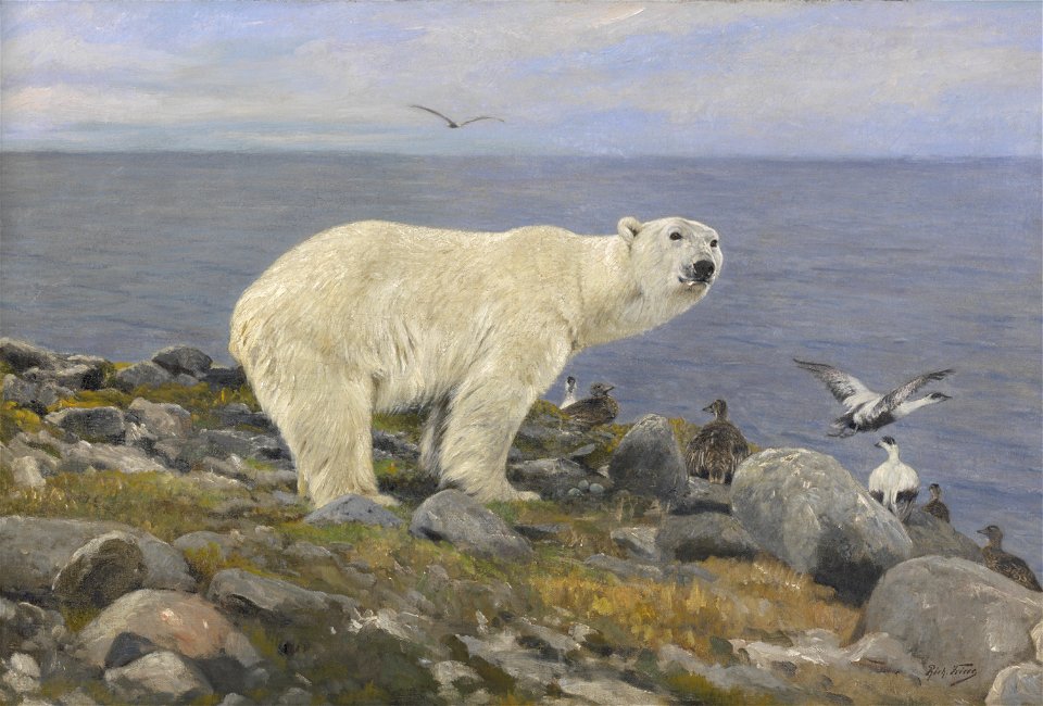 Richard Friese - IJsbeer en eidereenden aan de kust - 0226 - Rijksmuseum Twenthe
