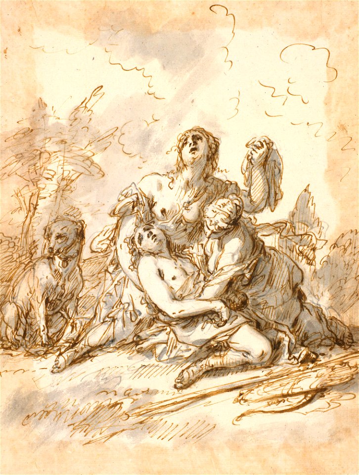 Ricci - The Death of Adonis c. 1720, RCIN 907156