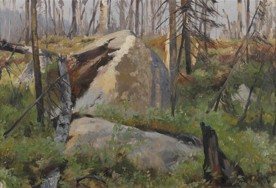 Richard Friese - Afgestorven woud in Canada - 0216 - Rijksmuseum Twenthe