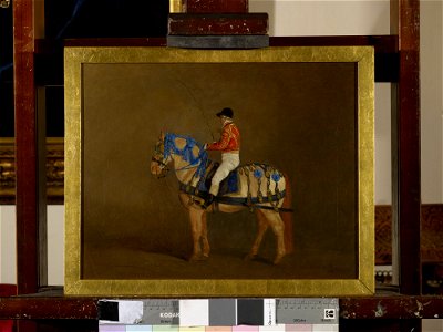 Richard Barrett Davis (1782-1854) - Star - RCIN 407443 - Royal Collection