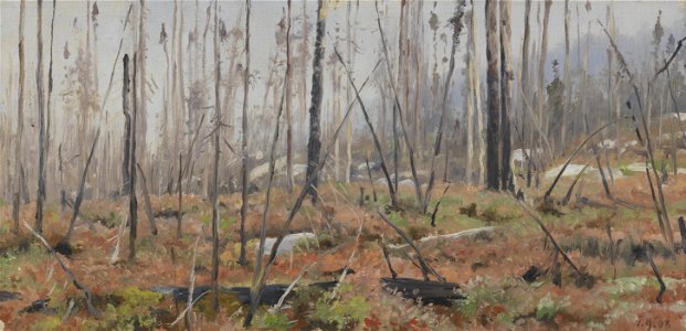 Richard Friese - Afgestorven woud in Canada - 0363 - Rijksmuseum Twenthe