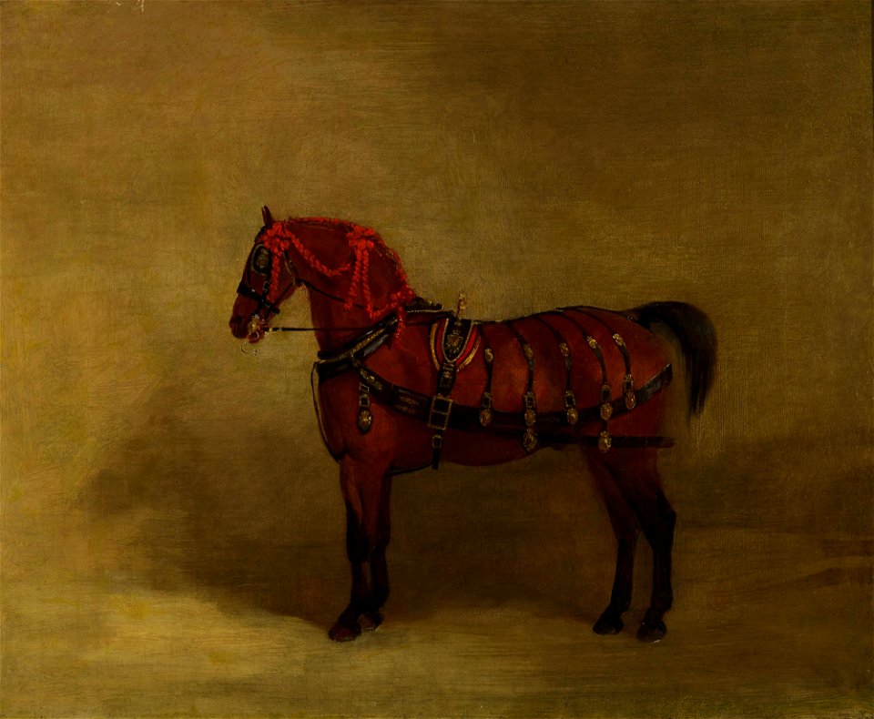 Richard Barrett Davis (1782-1854) - A Bay Carriage-Horse - RCIN 407445 - Royal Collection