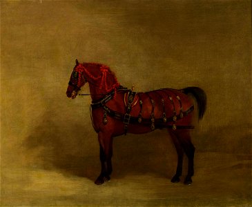 Richard Barrett Davis (1782-1854) - A Bay Carriage-Horse - RCIN 407445 - Royal Collection