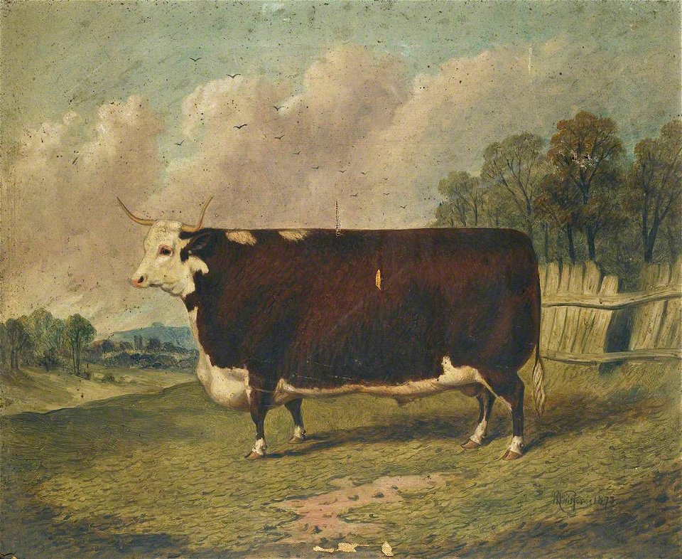 Richard Whitford (c.1821-1890) - A Prize Cow in a Landscape - 2900007 - National Trust