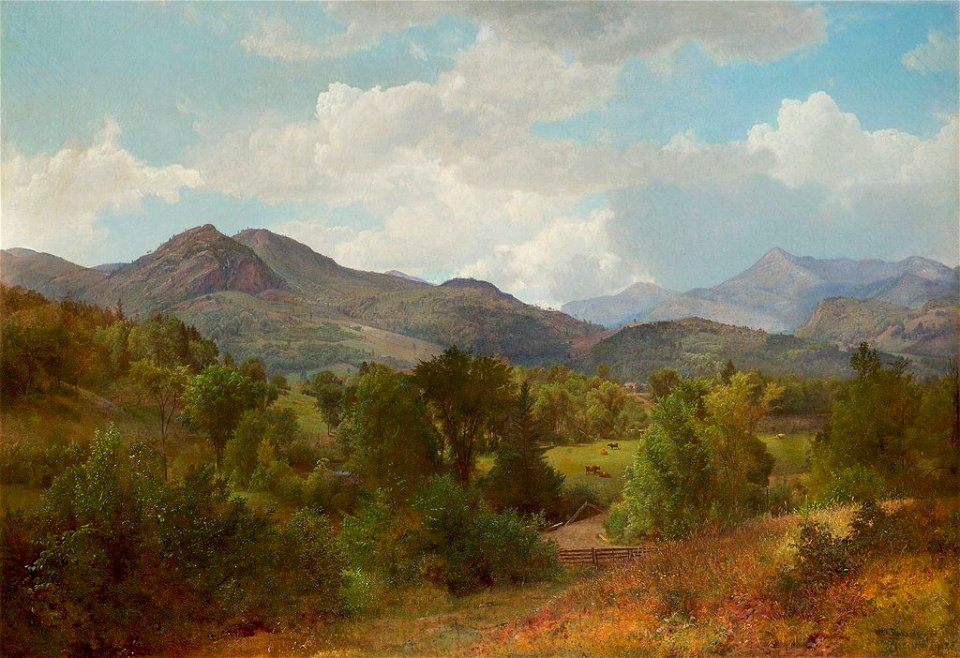 'Bouquet Valley in the Adirondacks' by William Trost Richards, 1863