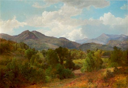 'Bouquet Valley in the Adirondacks' by William Trost Richards, 1863