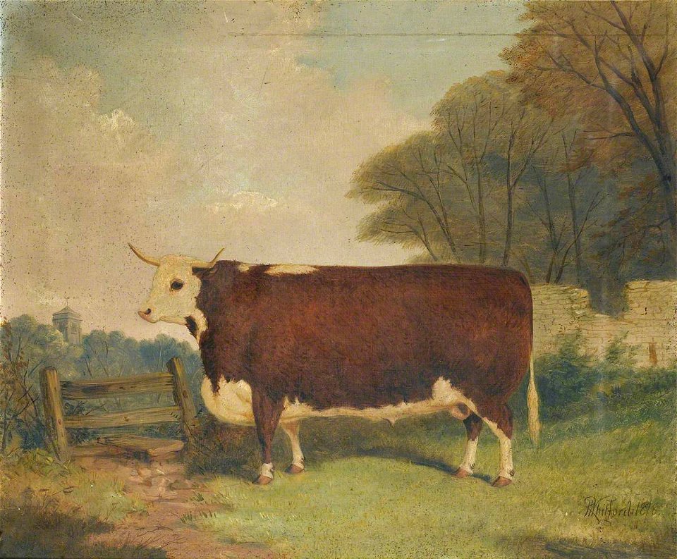 Richard Whitford (c.1821-1890) - A Prize Cow by a Gate - 2900009 - National Trust