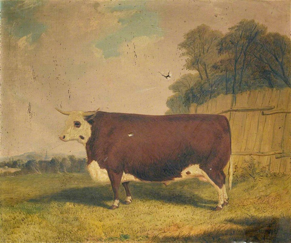 Richard Whitford (c.1821-1890) - A Prize Cow in a Landscape - 2900006 - National Trust
