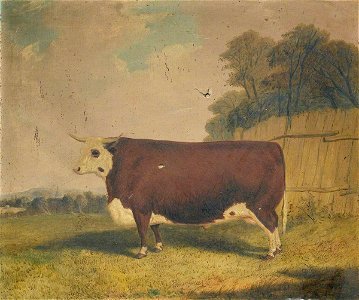 Richard Whitford (c.1821-1890) - A Prize Cow in a Landscape - 2900006 - National Trust