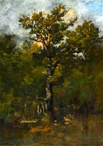 Léon Richet - Forest Landscape