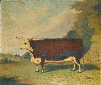 Richard Whitford (c.1821-1890) - A Prize Cow in a Landscape - 2900005 - National Trust