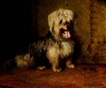 Richard S. Moseley (c.1843-1914) - 'Frisk', a Skye Terrier - 593161 - National Trust