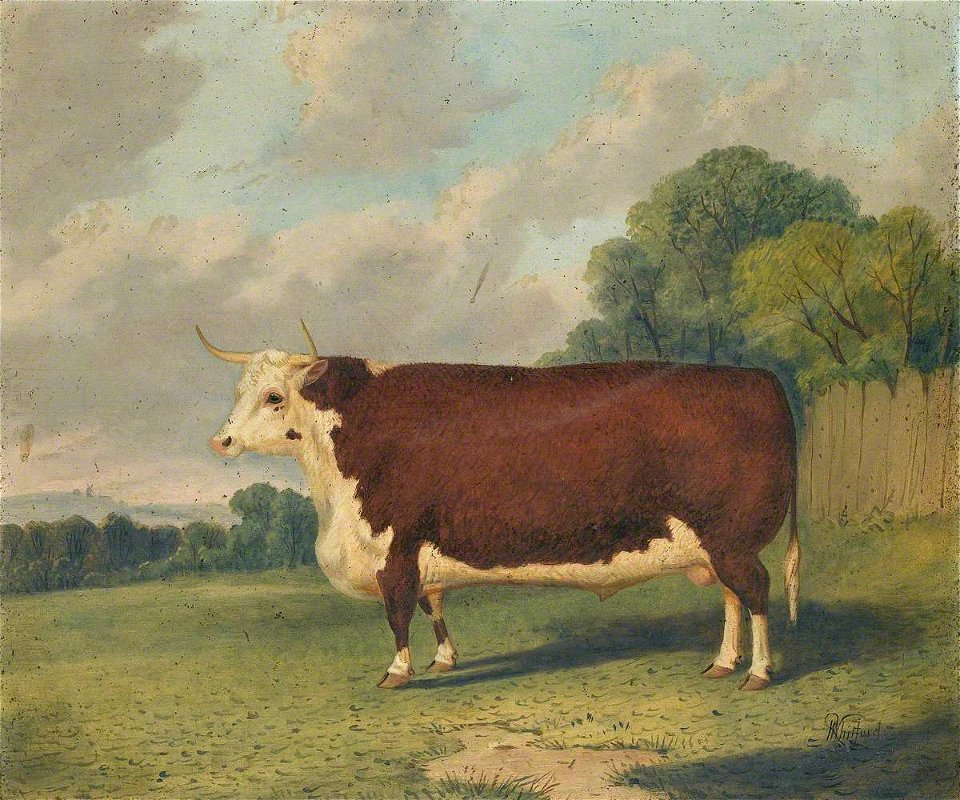 Richard Whitford (c.1821-1890) - A Prize Cow in a Landscape - 2900003 - National Trust