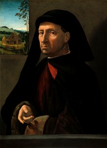 Ridolfo Ghirlandaio - Portrait of a Gentleman - 1933.1009 - Art Institute of Chicago