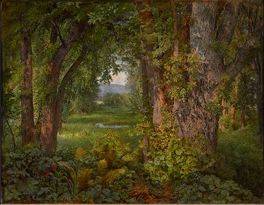 In the Woods by William Trost Richards, 1860