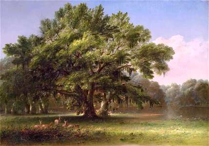 Live Oaks in South Carolina by Thomas Addison Richards