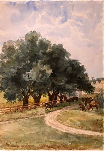 Richmond1884