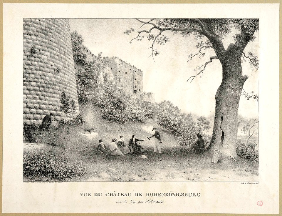 Riehl Hohenkonigsburg 77.998.0.3046 mb