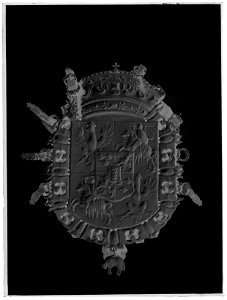 Riksvapen Sverige-Polen-Vasa - Livrustkammaren - 179-negative