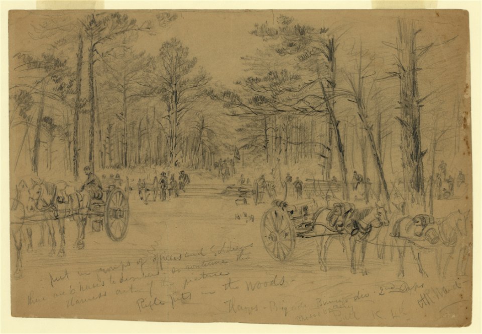 Rifle pits in the woods. LCCN2004660299