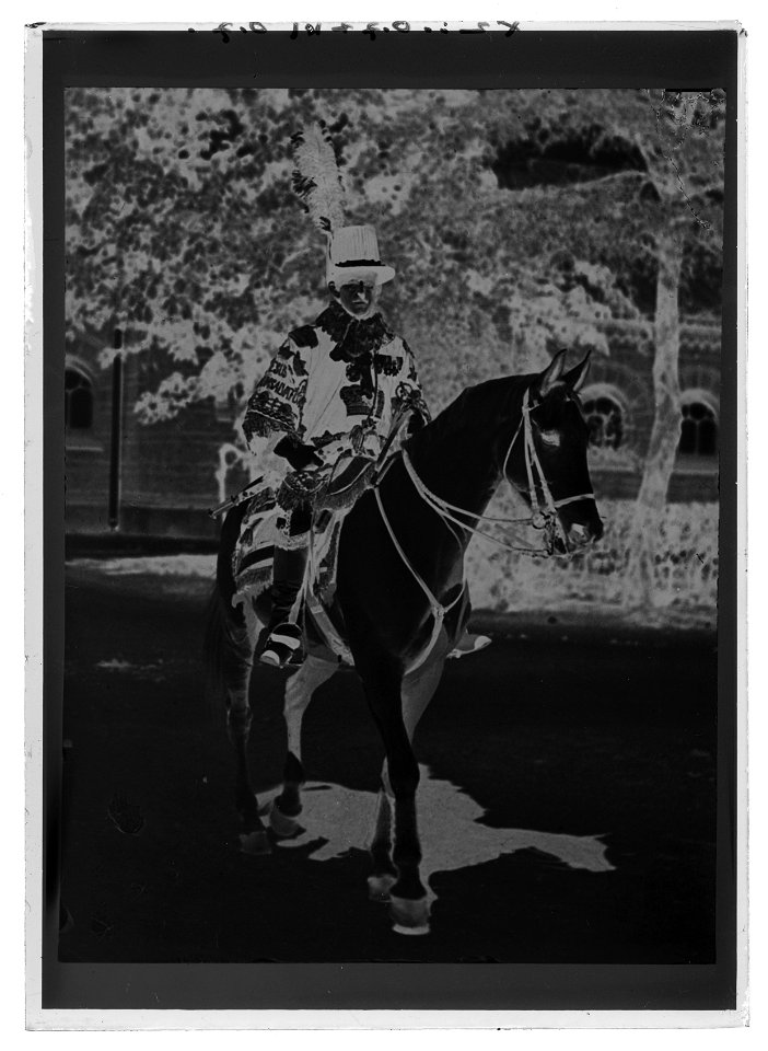 Rikshärdoldens kåpa - Livrustkammaren - 9894-negative