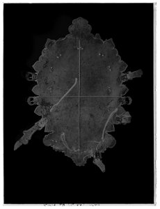 Riksvapen Sverige-Polen-Vasa - Livrustkammaren - 68664-negative