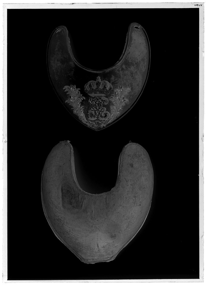 Ringkrage - Livrustkammaren - 18054-negative