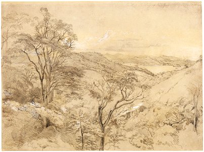 Rio de Janeiro Bay from the Mai das Aguas, da Coleção Brasiliana Iconográfica